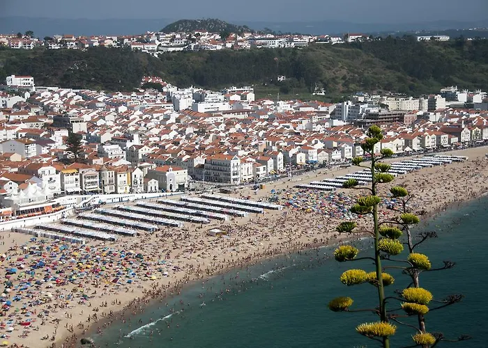 Gaivota Holidays