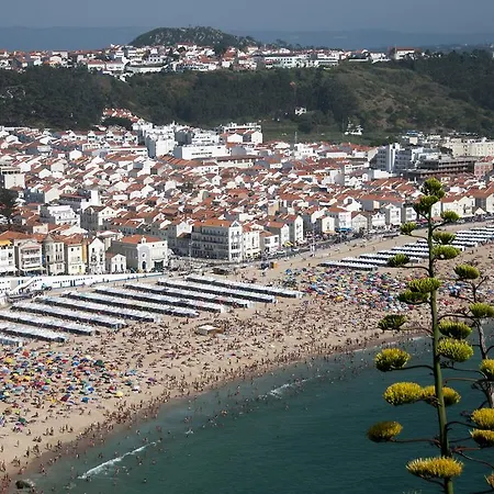 Gaivota Holidays